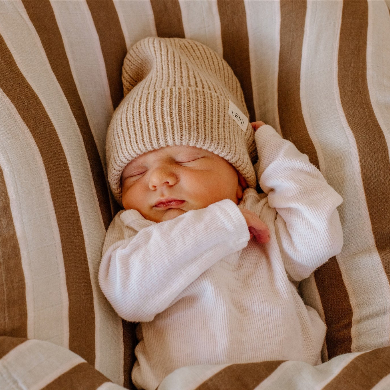 Hank Stripe Bundle