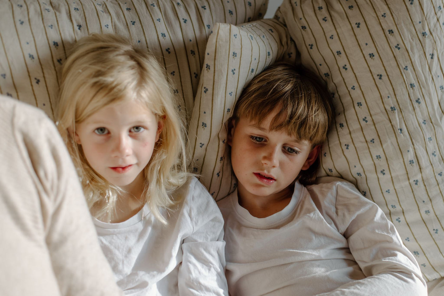 Organic Euro Pillowcase | Forget Me Not