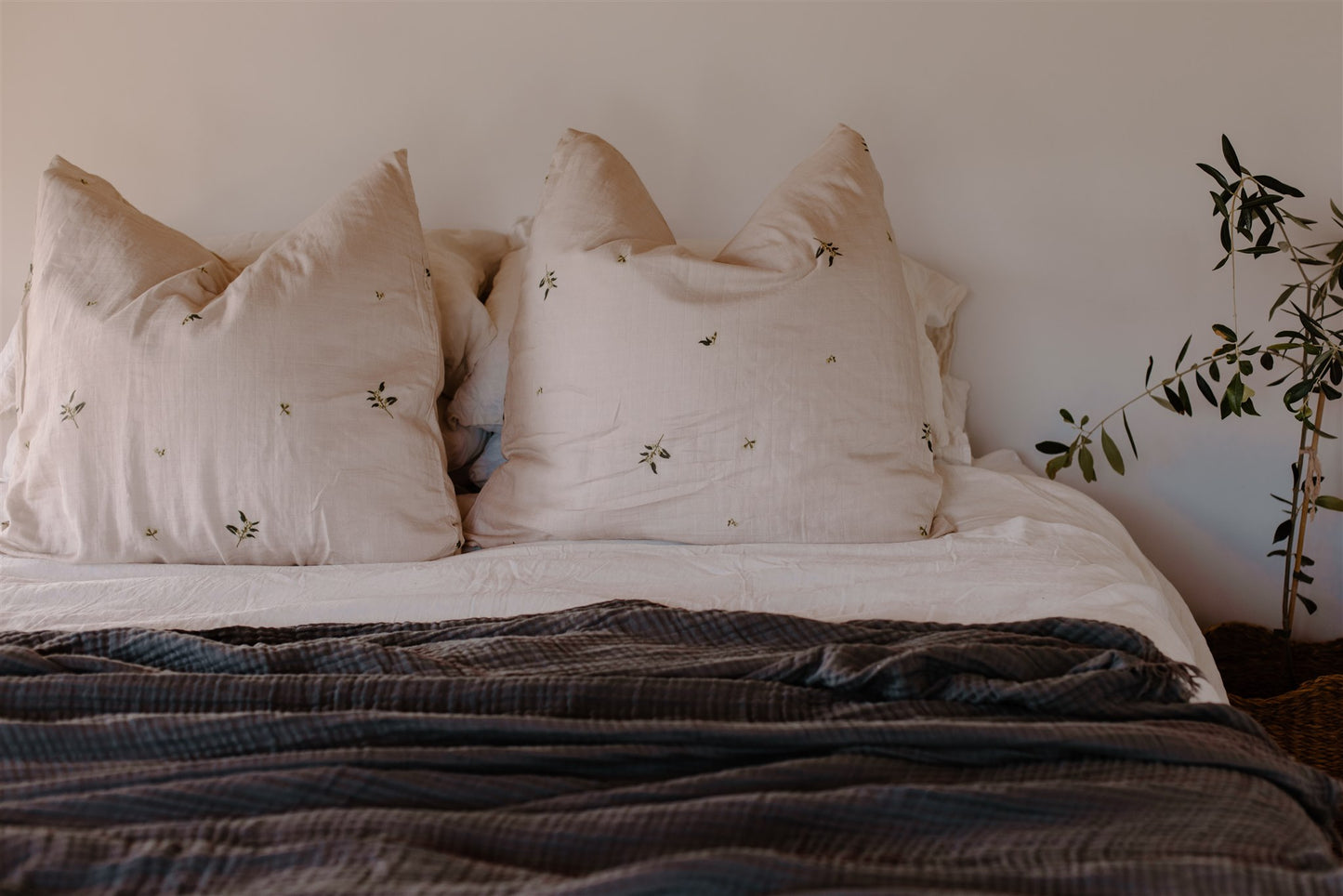 Organic Euro Pillowcase | Gum